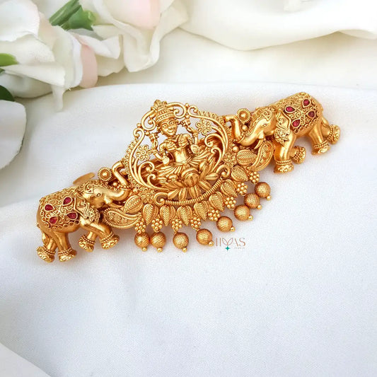 Stunning Lakshmi With Dual Elephant Hair Clip